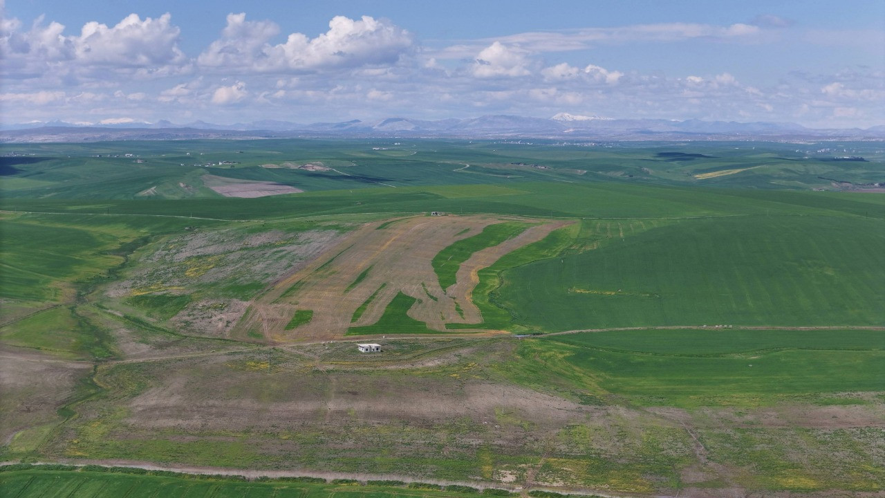 İlaçla kurutuyorlar: Bin dönüm arazi onların korkusundan ekilmiyor