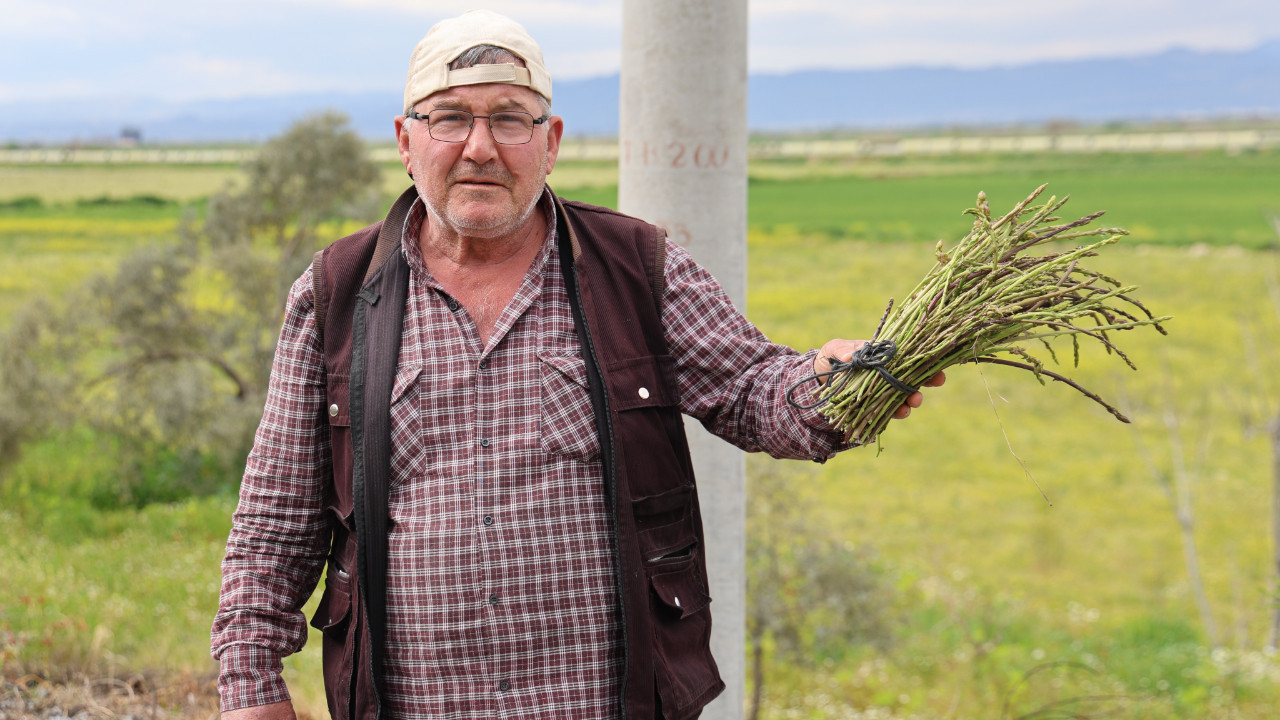 Doğadan topladığını ihtiyaç sahiplerine ulaştırıyor