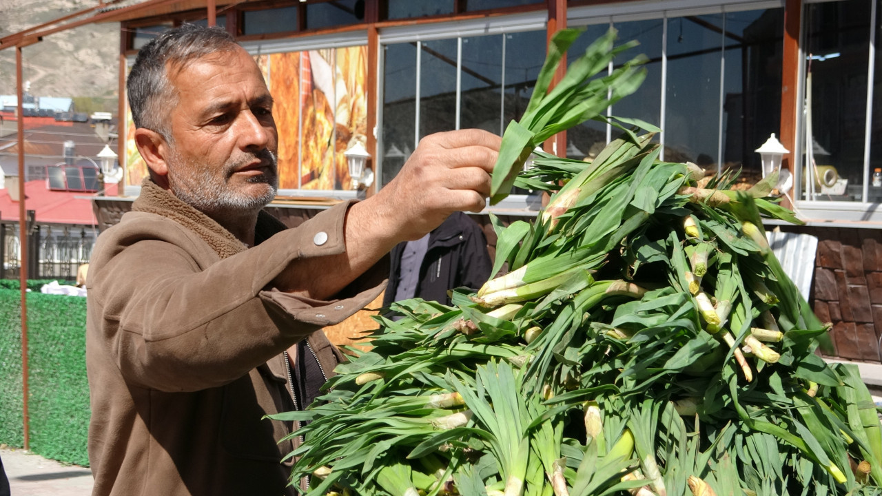 Dağdan tezgaha: 100 liradan satışa çıktı