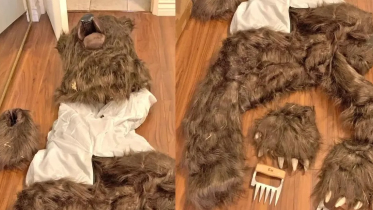 Görülmemiş dolandırıcılık: Ayı kostümüyle lüks araçlara saldırdılar