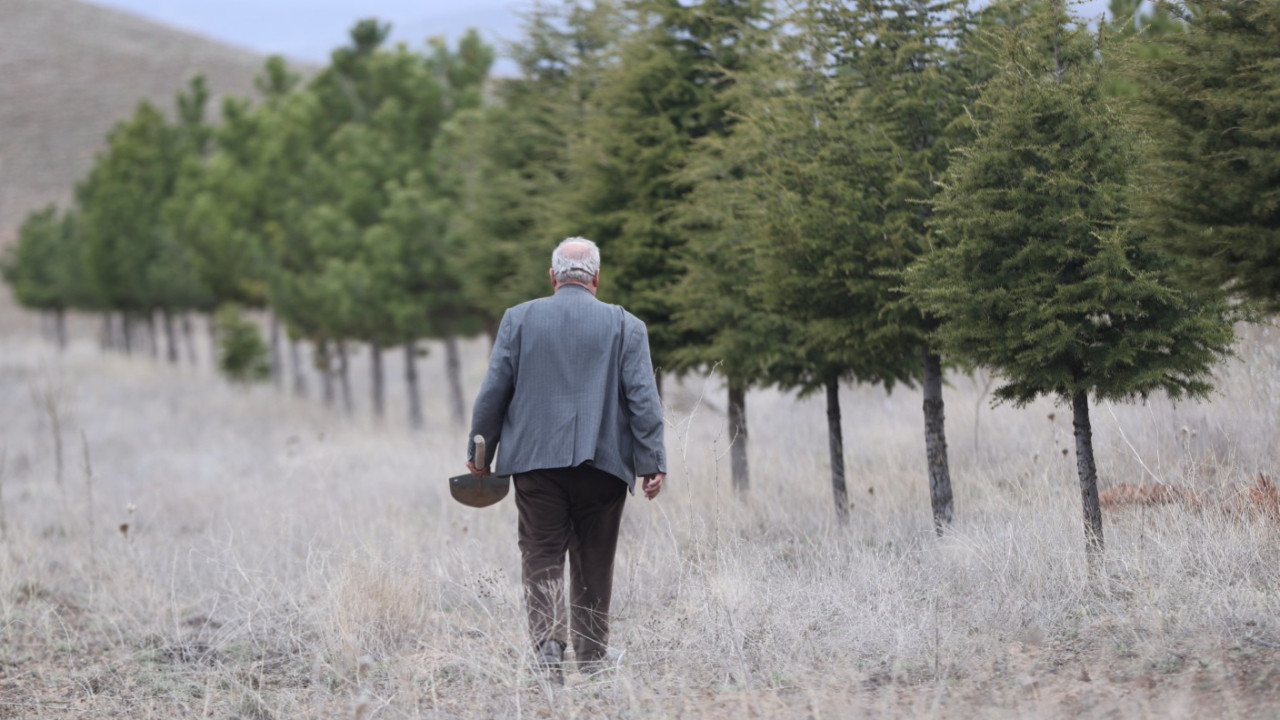 12 yılda bozkırı, ormana dönüştürdü: 12 bin fidan dikti