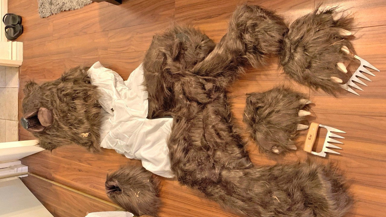 Ayı kostümünün altından sigorta dolandırıcılığı çıktı