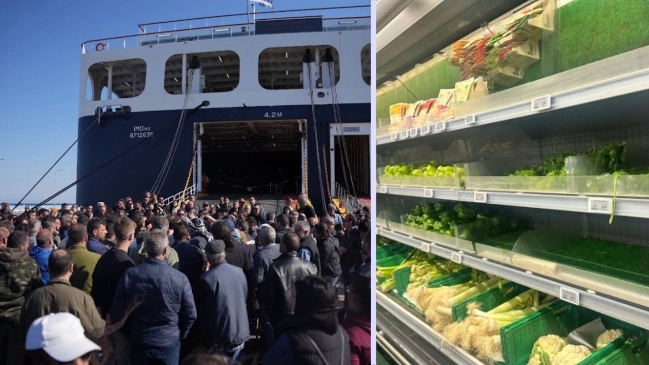 Midilli Adası'nda şap krizi: Marketler boşaldı