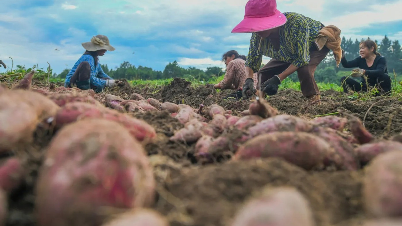 Tarihin en büyük köye dönüşü geliyor