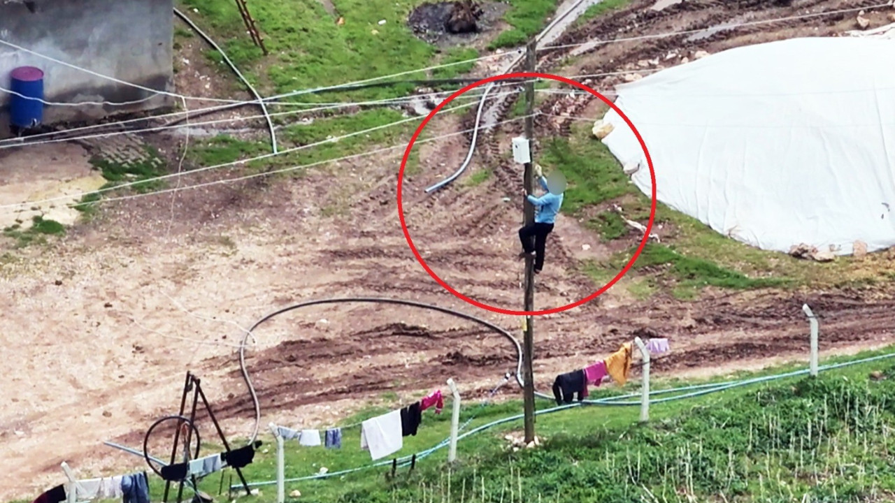 Dronu görünce direğe çıktı: Telleri tek tek kesti