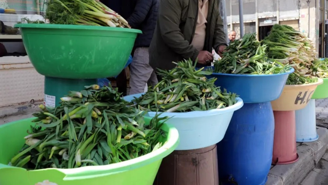 Dağda doğal olarak yetişiyor, toplayıp 500 liraya satıyorlar