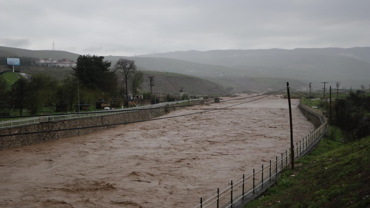Siirt'te sel bilançosu: 400'e yakın hayvan öldü