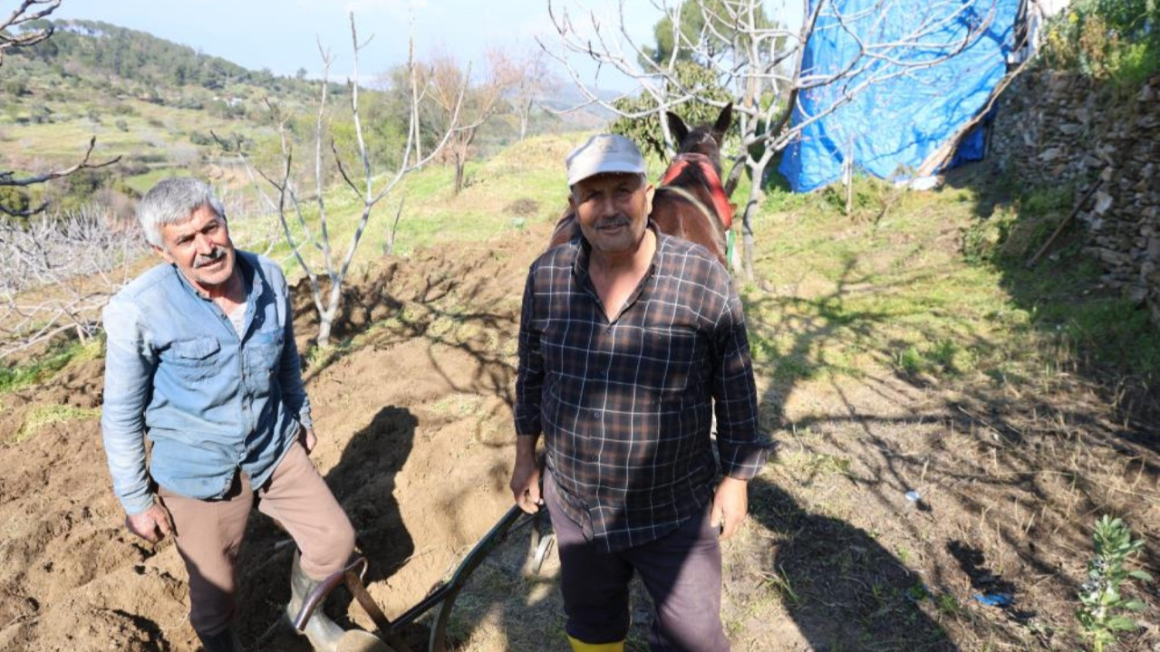 Köyün en genci 50 yaşında: "Köyün en gençleri biziz"