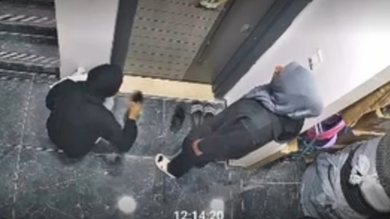 Ayakkabıları koklayarak girecekleri evi seçtiler