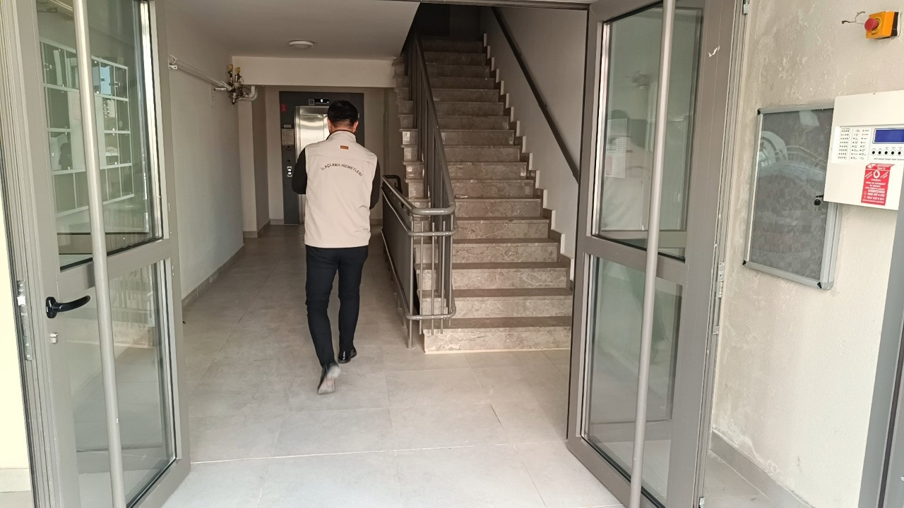 Vahşet: Parçalanmış halde yavru kedi bulundu