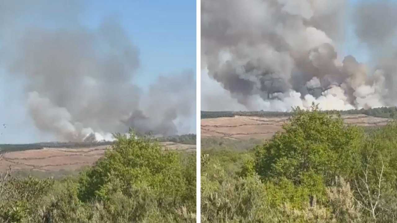 Beykoz’da orman yangını