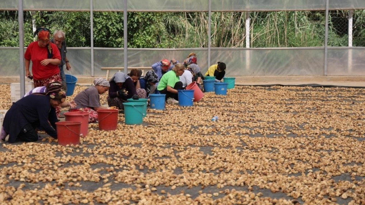 Çiftçinin borcu 5 yılda 10 kat arttı