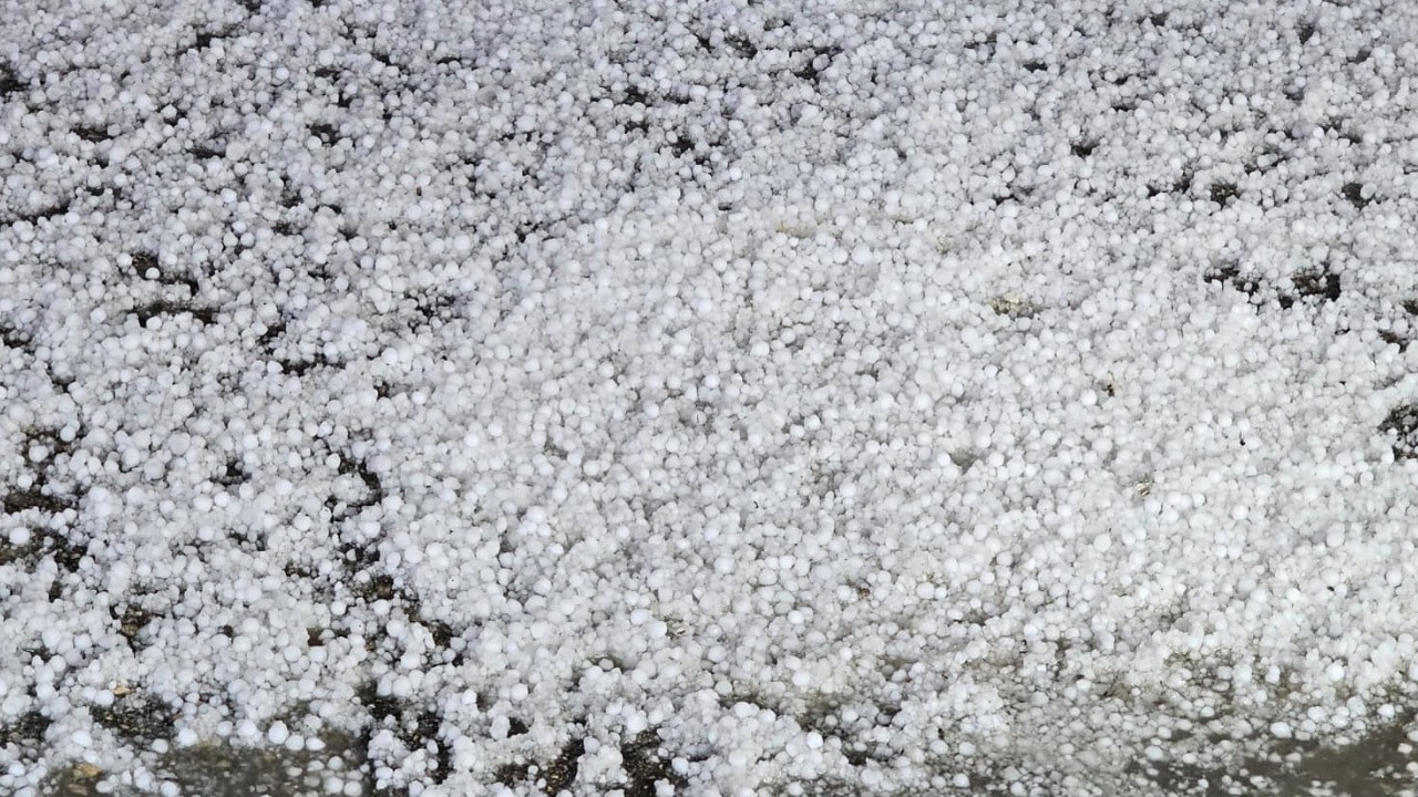 Malatya'da dolu yağışı kayısı bahçelerine zarar verdi