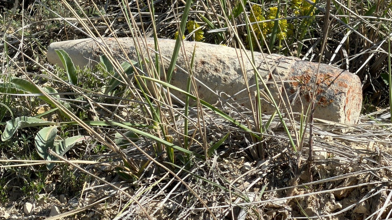 Mantar ararken buldu, ne olduğunu anlayınca hayatının şokunu yaşadı