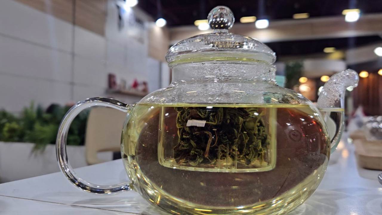 Rize’nin beyaz çayı lüks ürüne dönüştü: Kilosu 40 bin TL