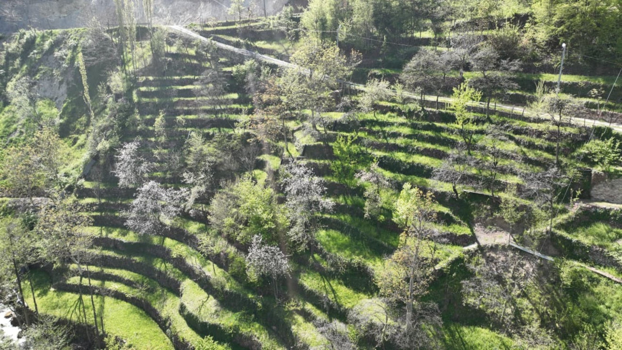 2 dönümlük araziyi taşlar sayesinde 8 dönüme çıkardı