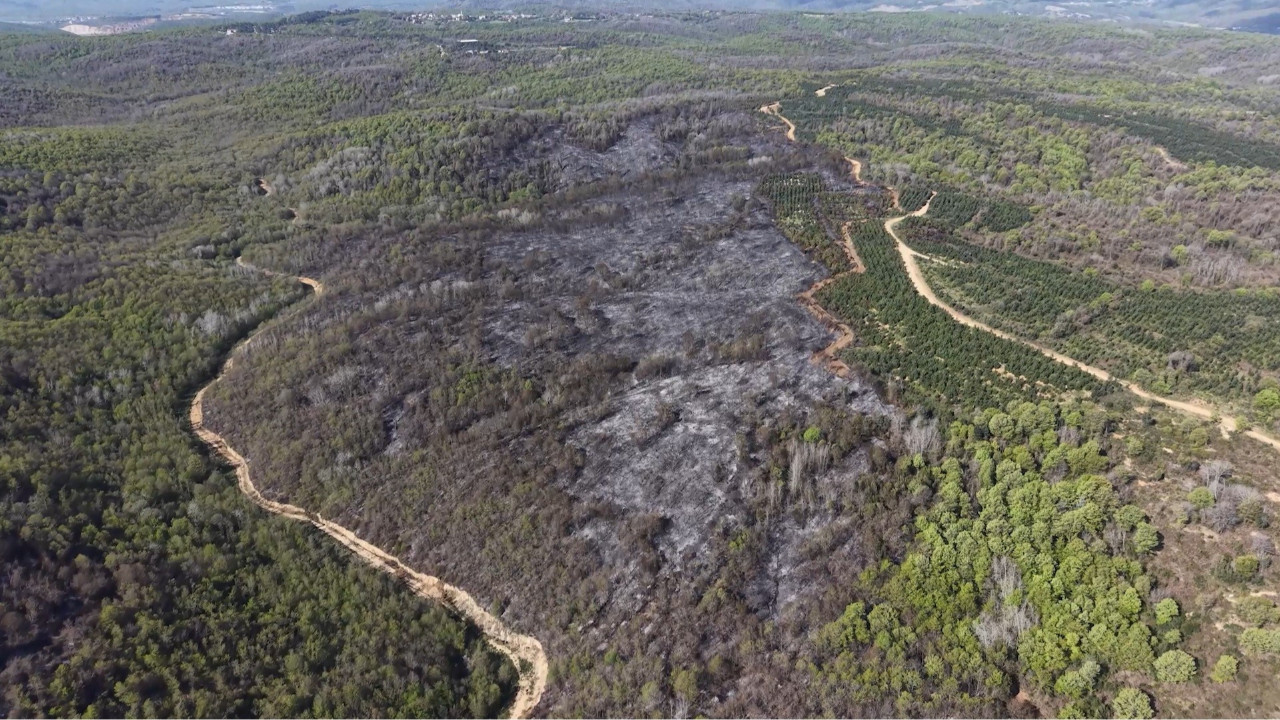 Beykoz'da kara tablo