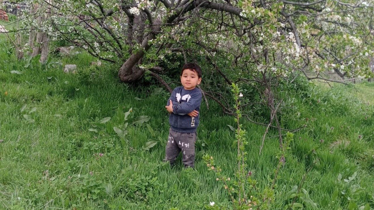 Dedesinin elini bıraktı, yola fırladı: 3 yaşındaki çocuk hayatını kaybetti