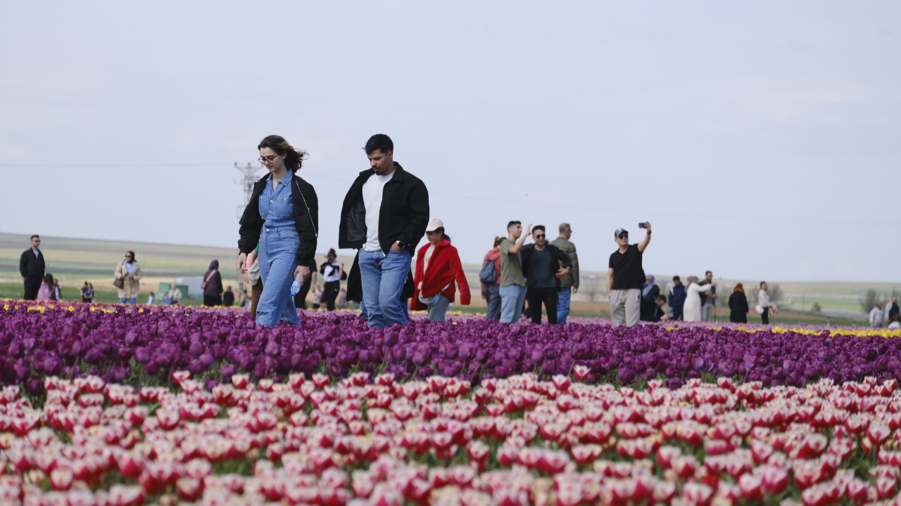Fotoğraf tutkunlarının gözdesi oldu: 400 bin kişi ziyaret etti
