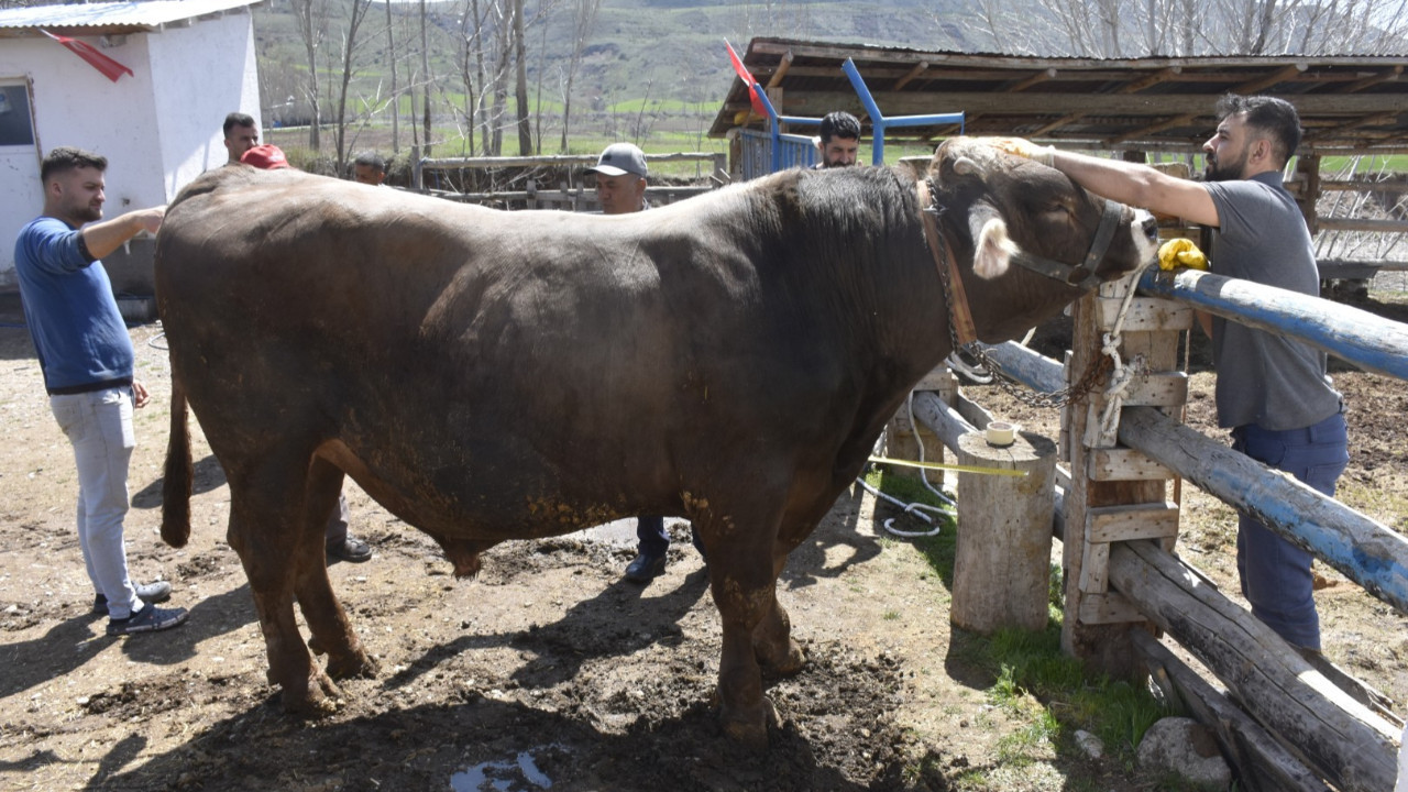 1 ton ağırlığında ‘Poyraz’ hem ağırlığı hem fiyatıyla ağızları açık bırakıyor