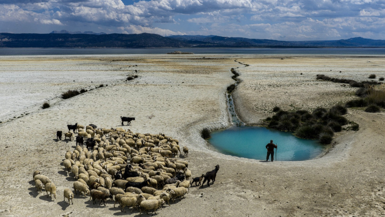 Göl kıyısındaki turkuaz gözeler yaşam kaynağı oldu