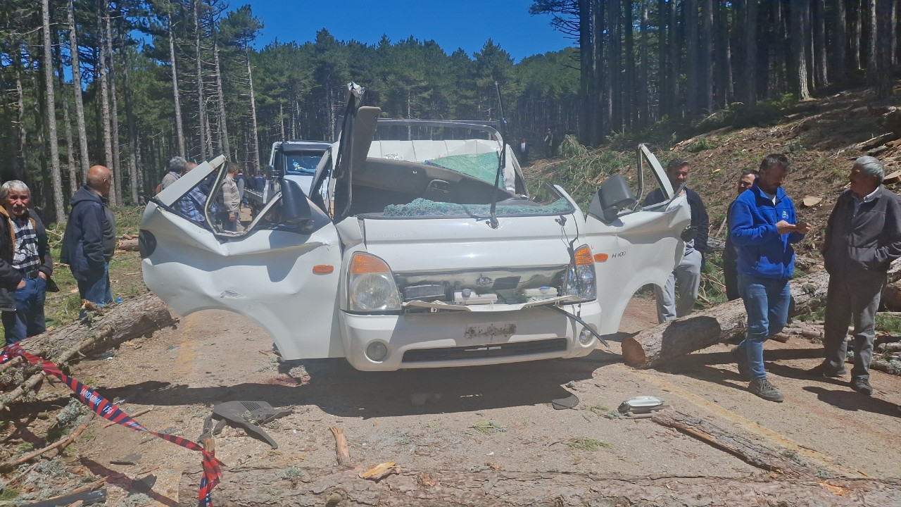 Kamyonetin üzerine ağaç devrildi: Ölü ve yaralılar var