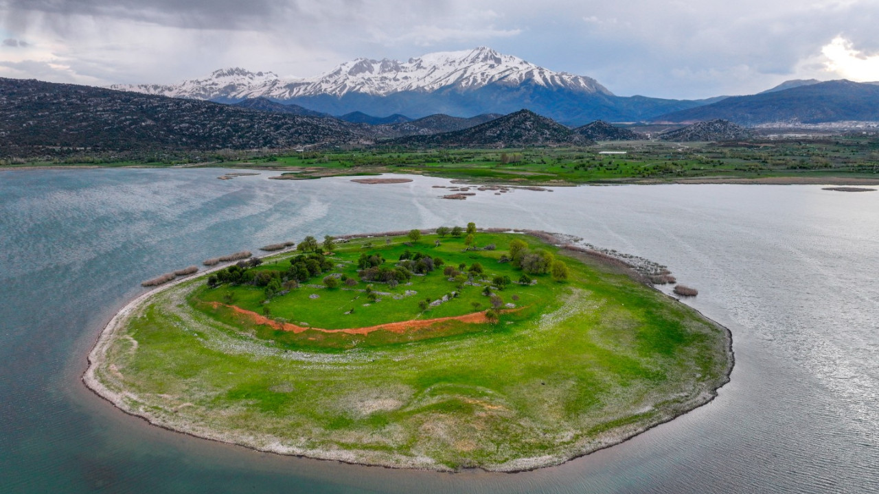 1,5 aydır kendi haline bıraktı: Küçükbaş hayvanları masrafsız büyüyor
