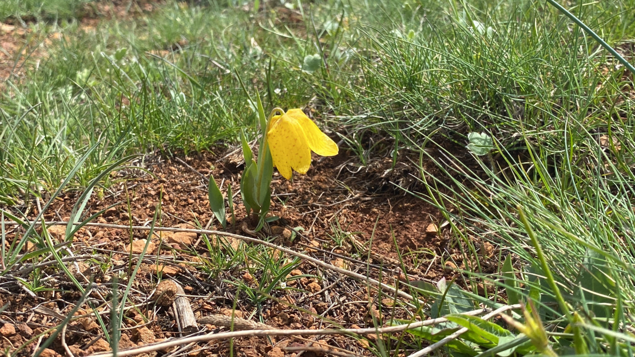 Koparan yanar: Cezası 700 bin TL