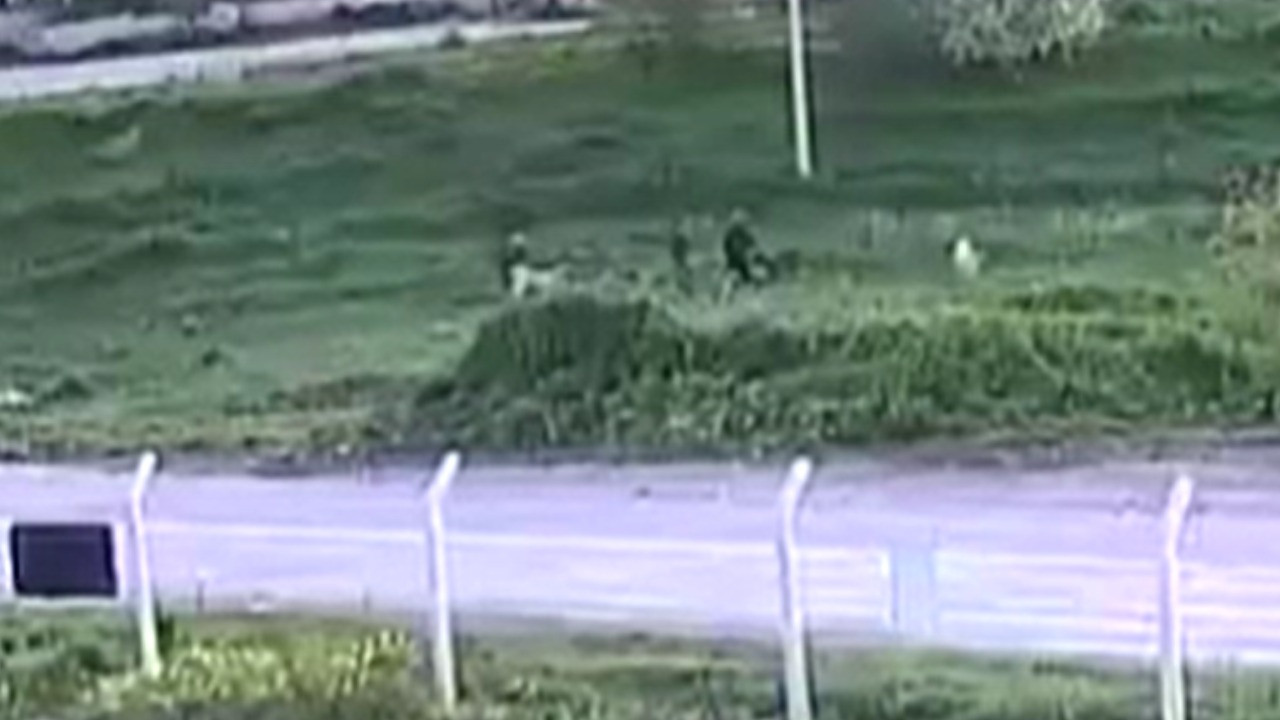 Baba oğul köpeğine öfkelenip komşularını dövdü