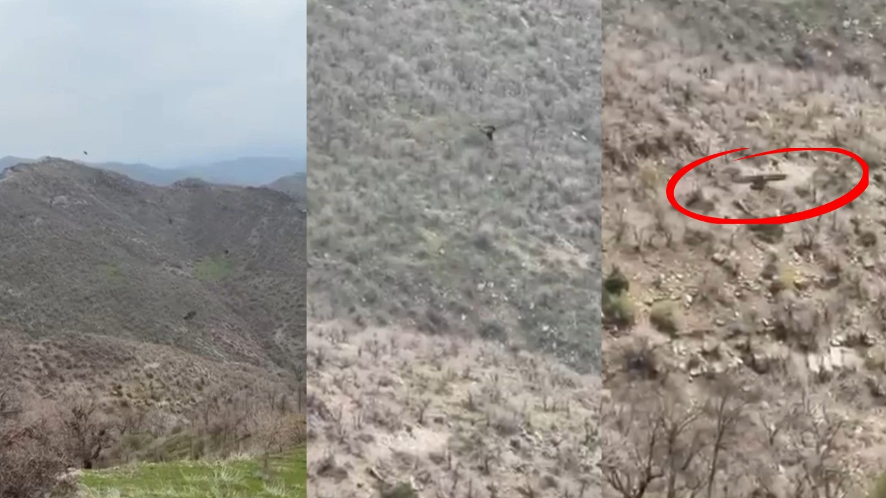 Görüntüler Şırnak'ta kaydedildi! Kartalın domuz avı