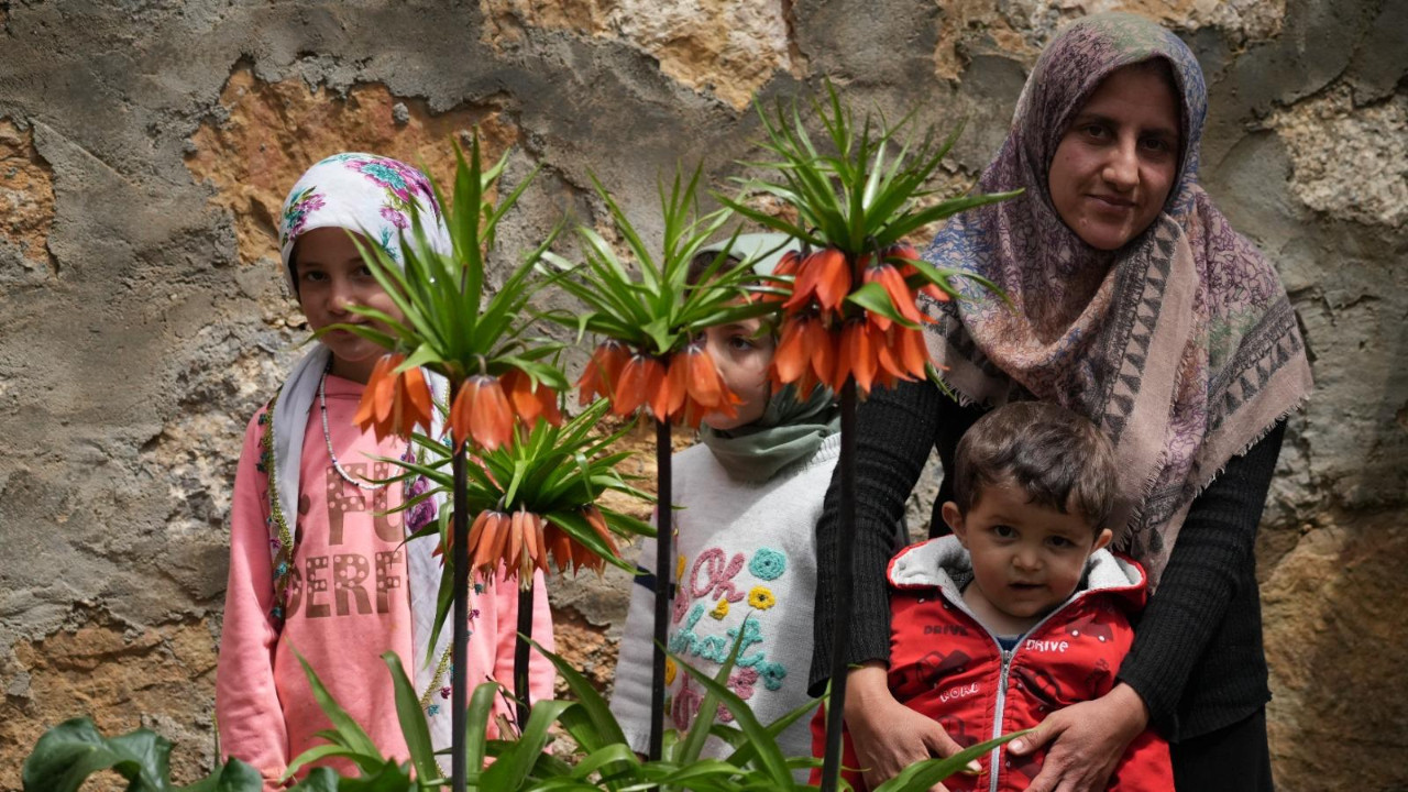 Bahçelerinde koparmanın cezası 700 bin lira olan çiçek yetiştiriyorlar