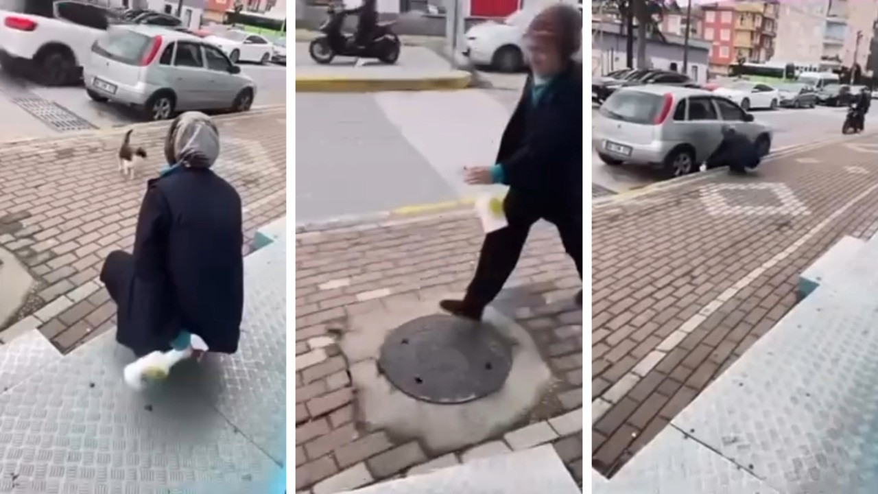 Kediyi kandırıp yüzüne yağ çözücü sıktı