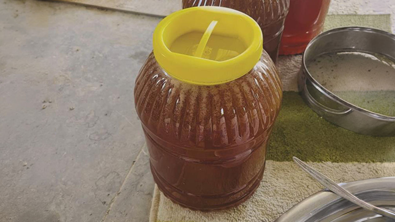 Sezonun ilk ürünü hasat edildi! Fiyatlar bin 250 TL’den başlıyor
