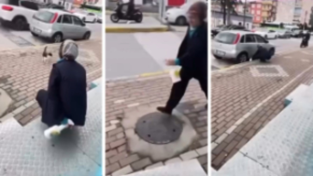 Kediye yağ çöz ile saldıran market çalışanları serbest