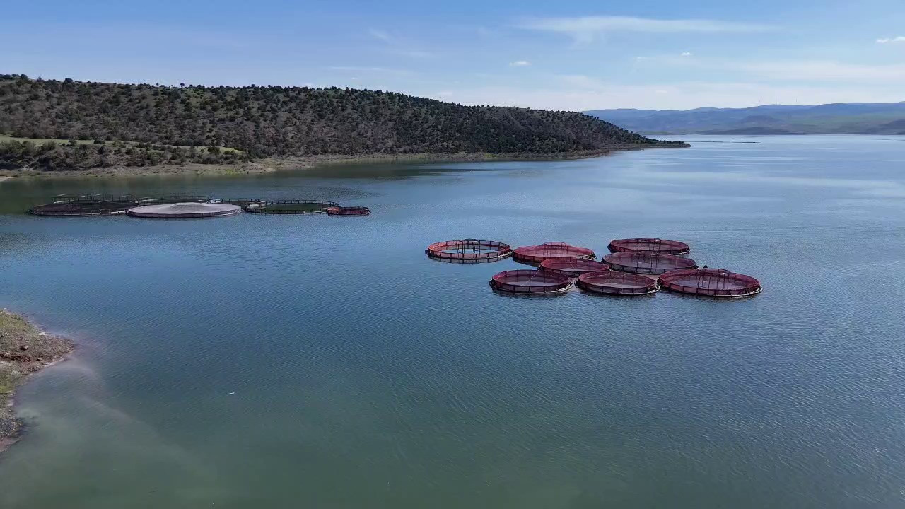 Bozkırdan Avrupa'ya somon ihracatı