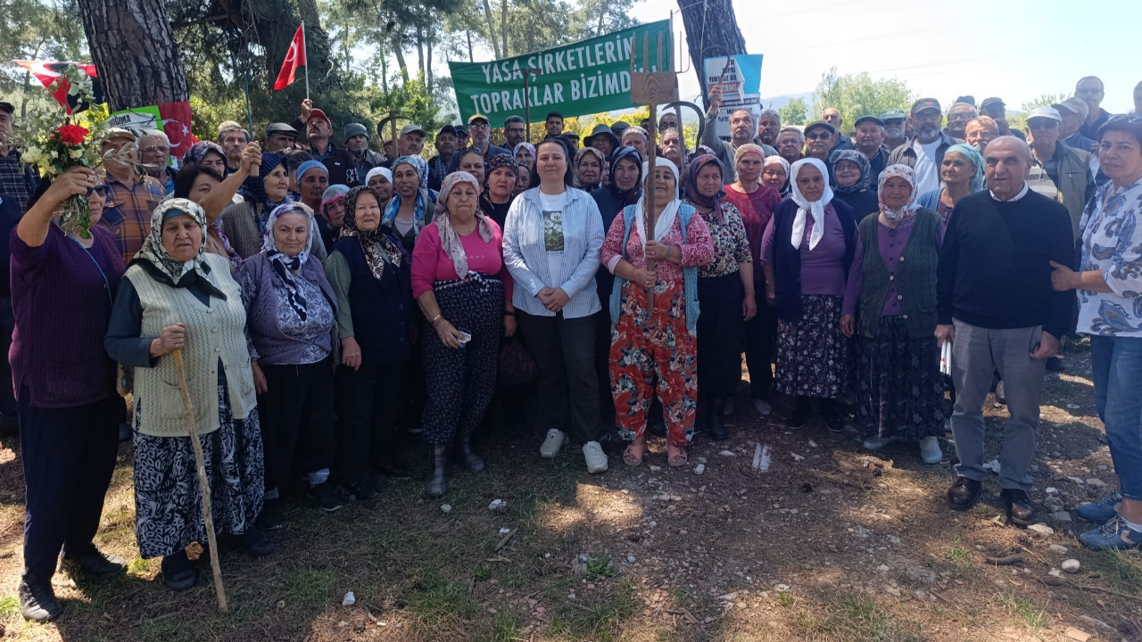 Danıştay'dan Akbelen kararı