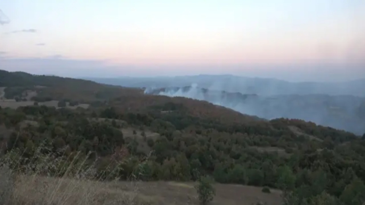 Ormanlara giriş yasağı başladı: Mangal ve ateş yakmak da yasak