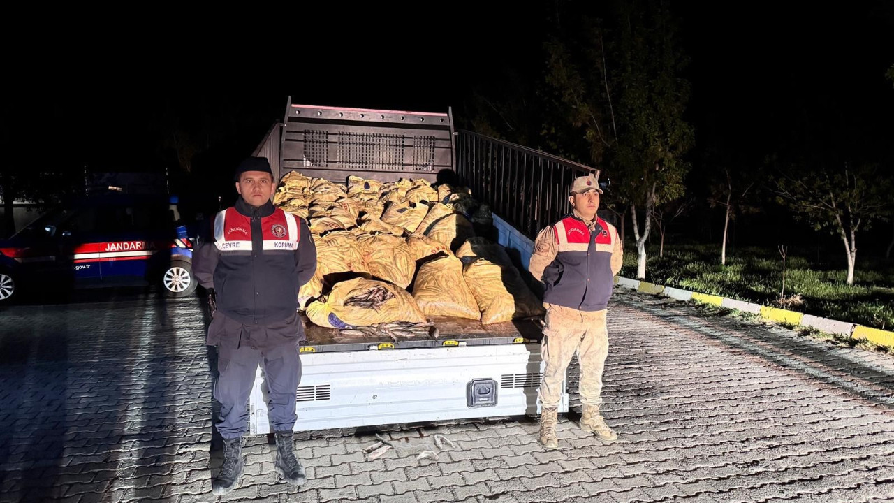 Van’da inci kefali operasyonu: Tonlarca balığa el …