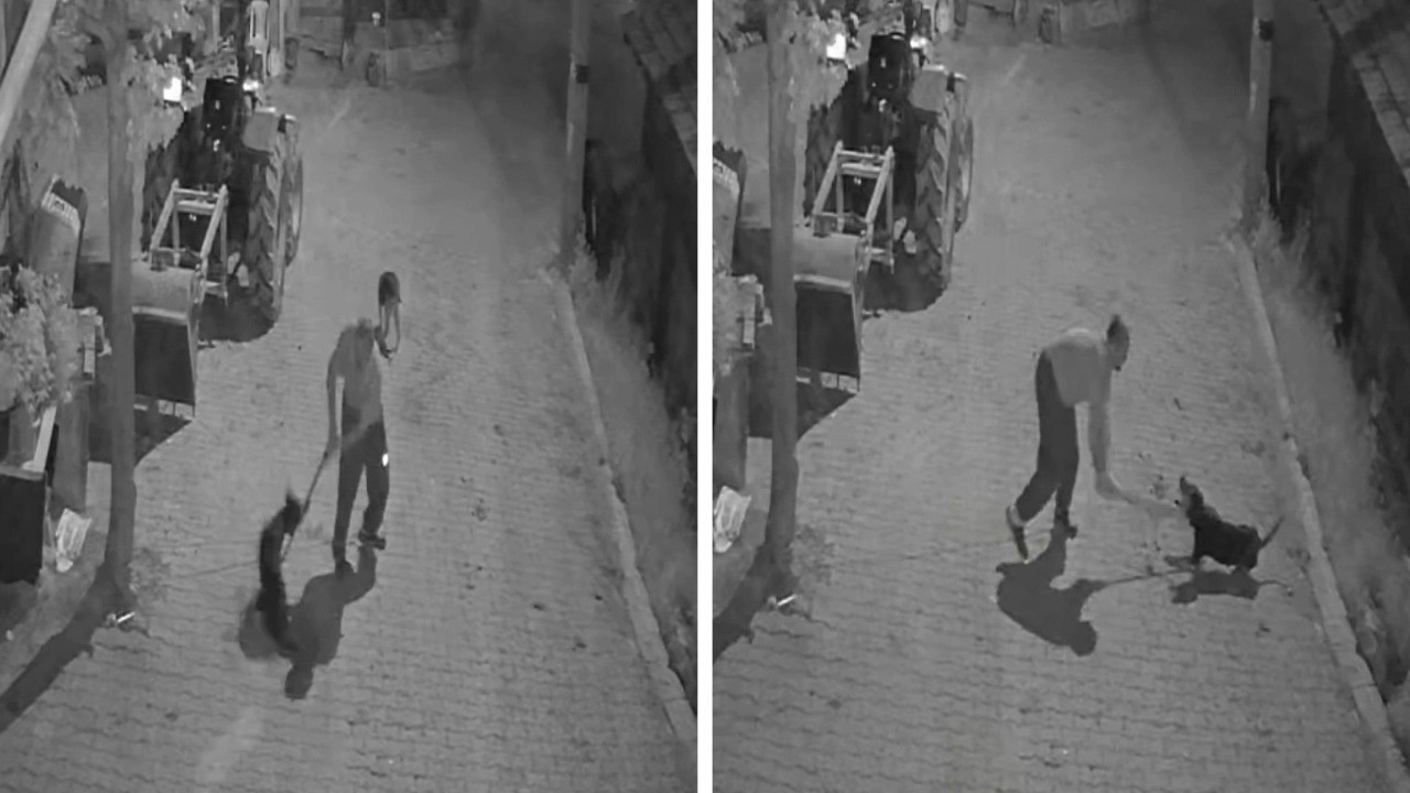 Vahşet: Köpeği demir sopayla vurarak öldürdü