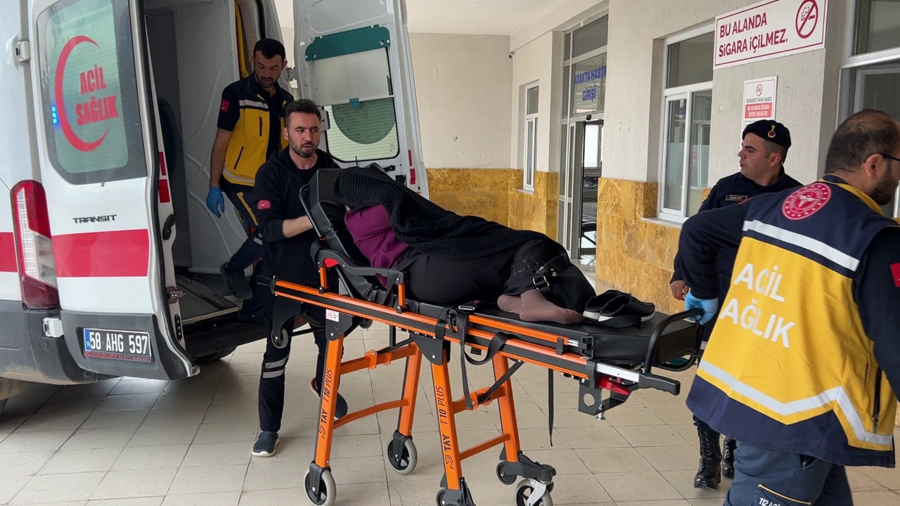 İnek kavgası kanlı bitti: Ölü ve yaralılar var