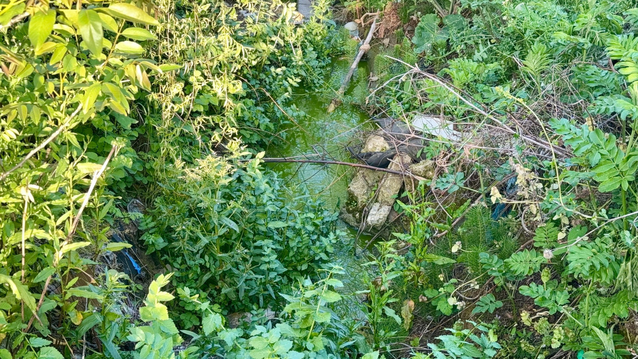 Arnavutköy’de dere bir anda yeşile döndü: Korkutan görüntü