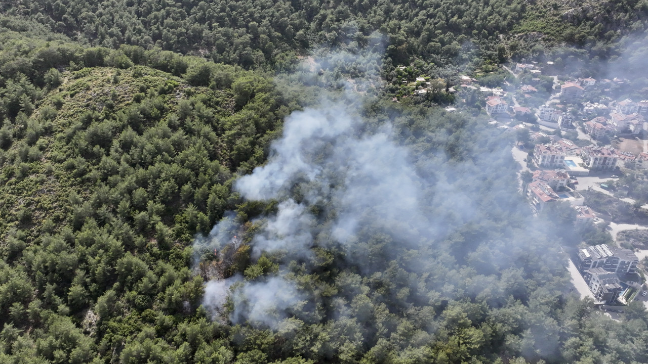 Fethiye'de orman yangını