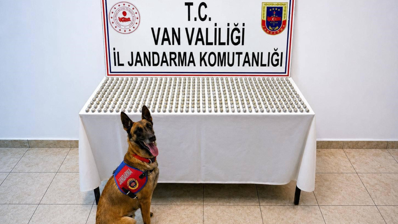 Van’da uyuşturucu operasyonu: 8 İranlının midesinden 3 kilo esrar çıktı