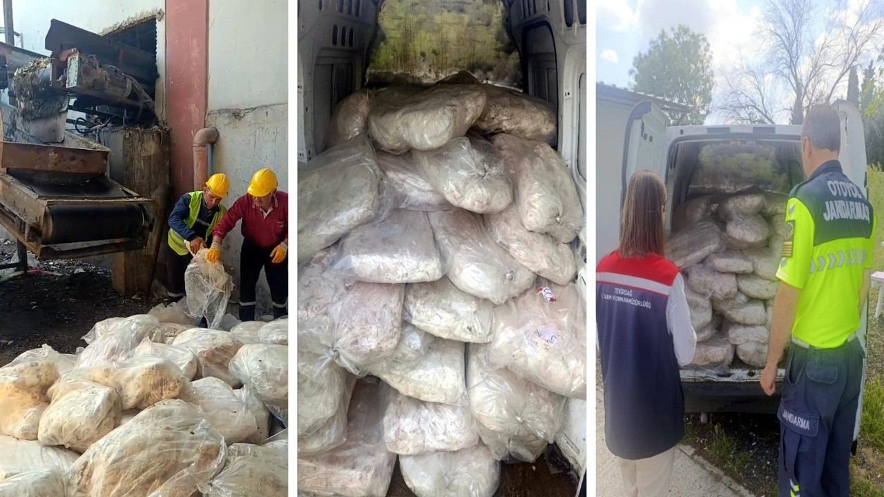 Sofralara gelecekti: Yüzlerce kilo sakatat ele geçirildi