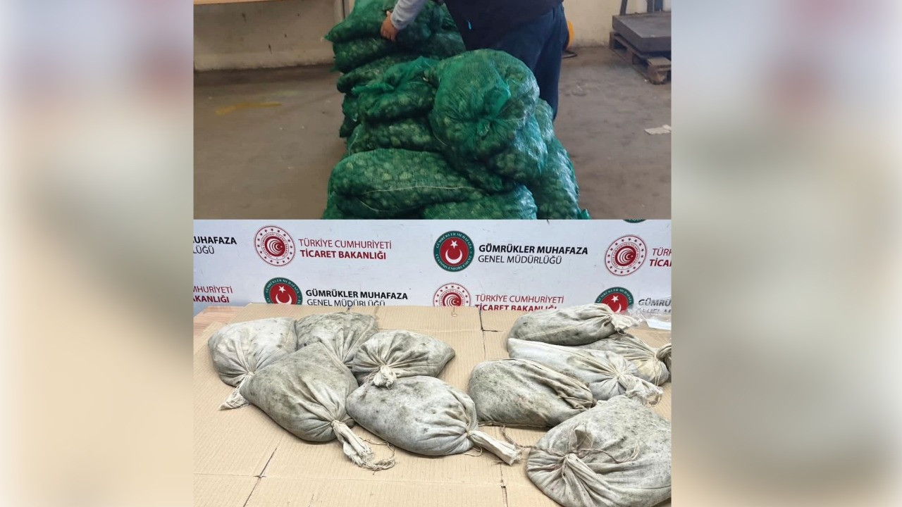 Kapıkule'de 760 kilo kaçak midye ele geçirildi