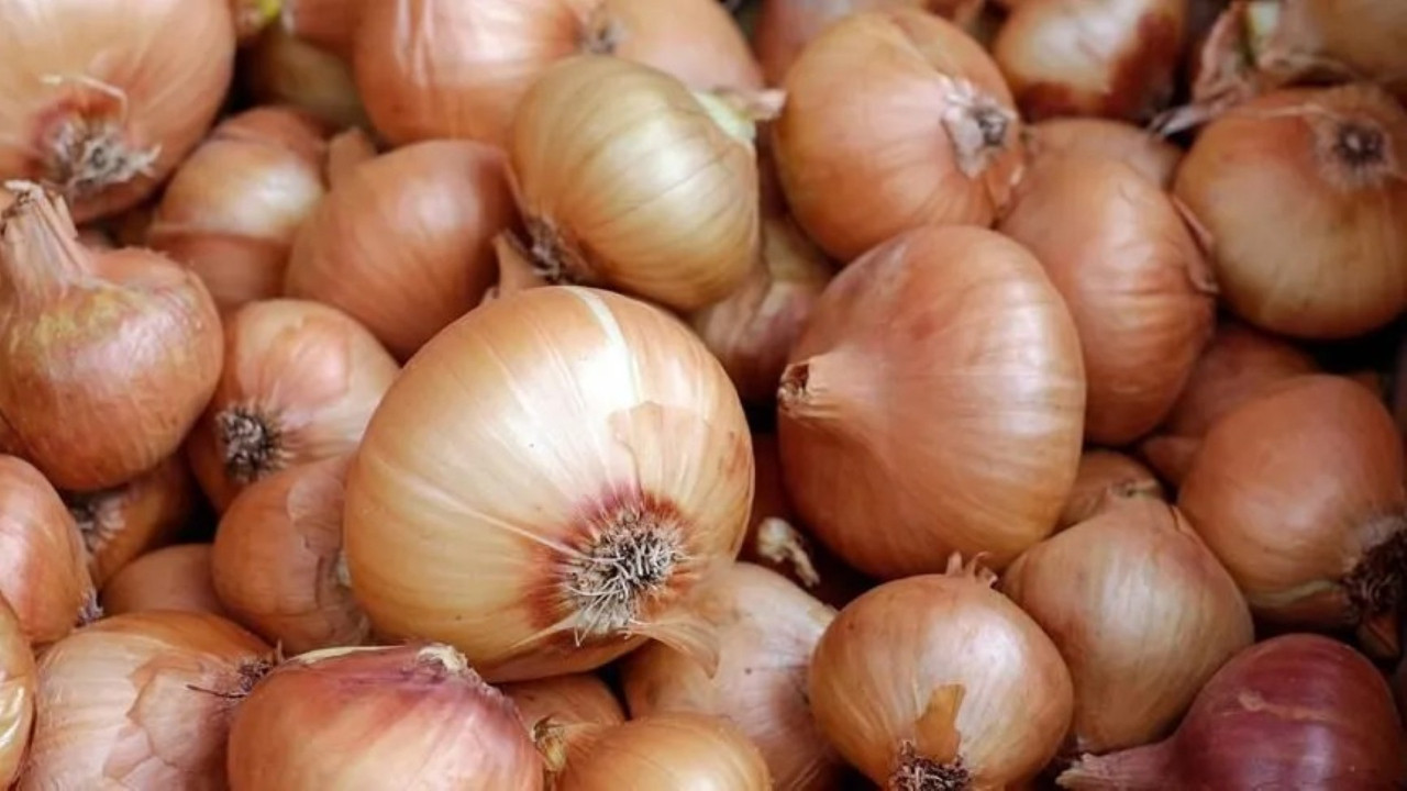 Kuru soğan ve ayçiçek için düşük gümrük vergisi adımı