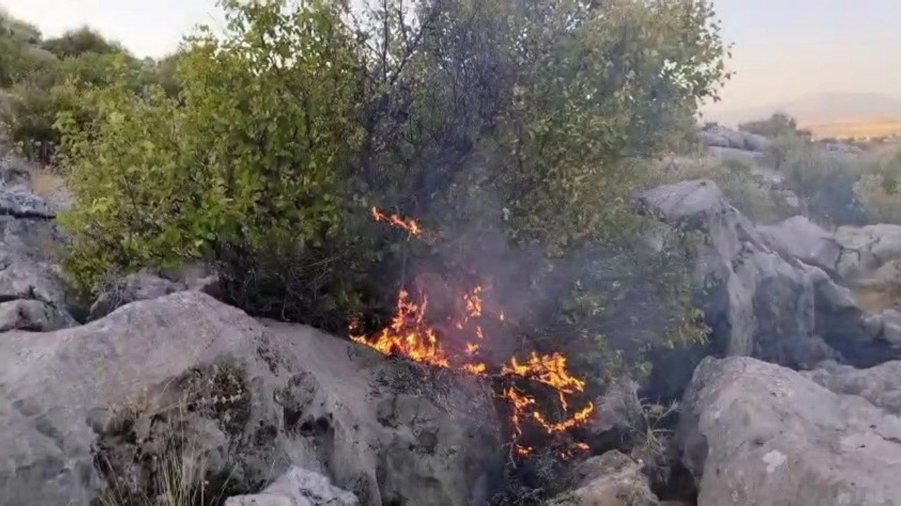 Adıyaman'da ormanlık alanda yangın