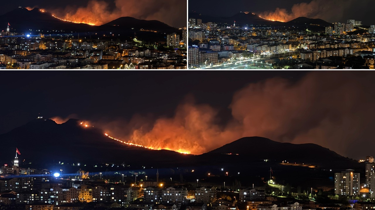 Ankara'da ağaçlık alanda yangın