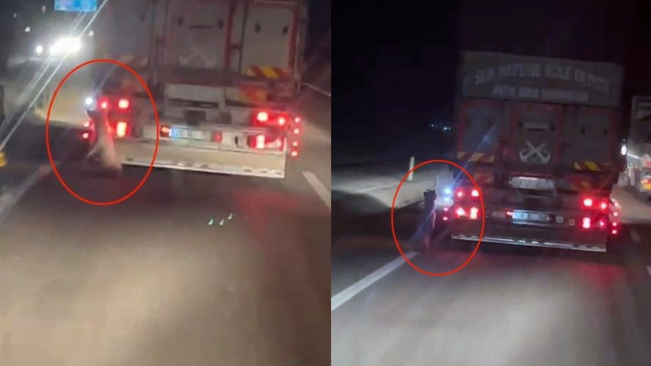 Köpeği kamyonetin arkasına bağlayıp sürükledi