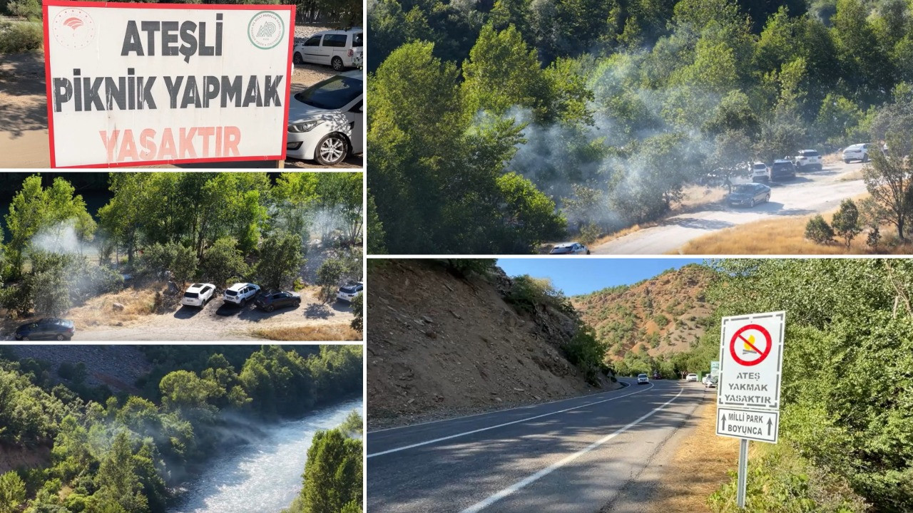 Yasak tabelada kaldı! Her ağacın altından duman yükseliyor